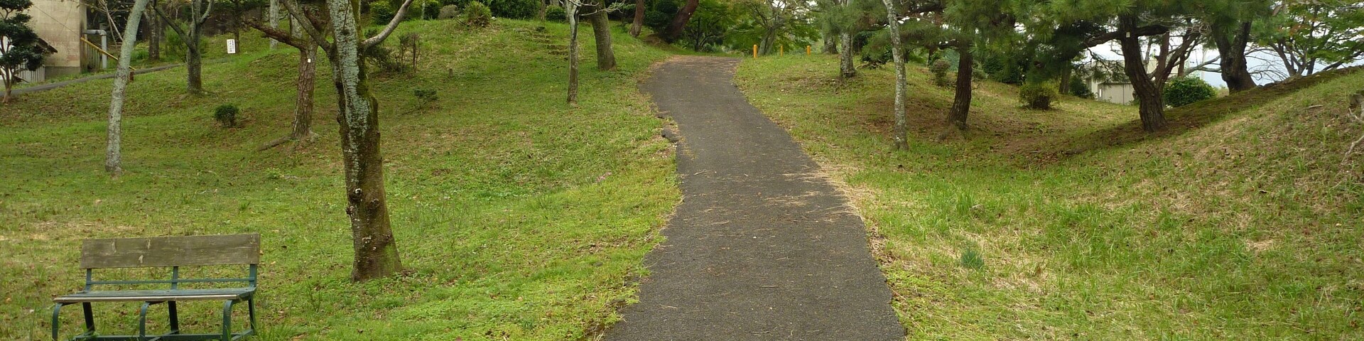 Un sendero pavimentado en un parque con árboles y un banco.