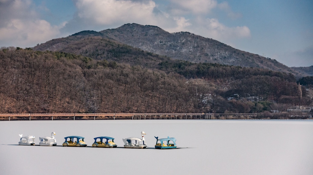 Ducks in the Snow Country