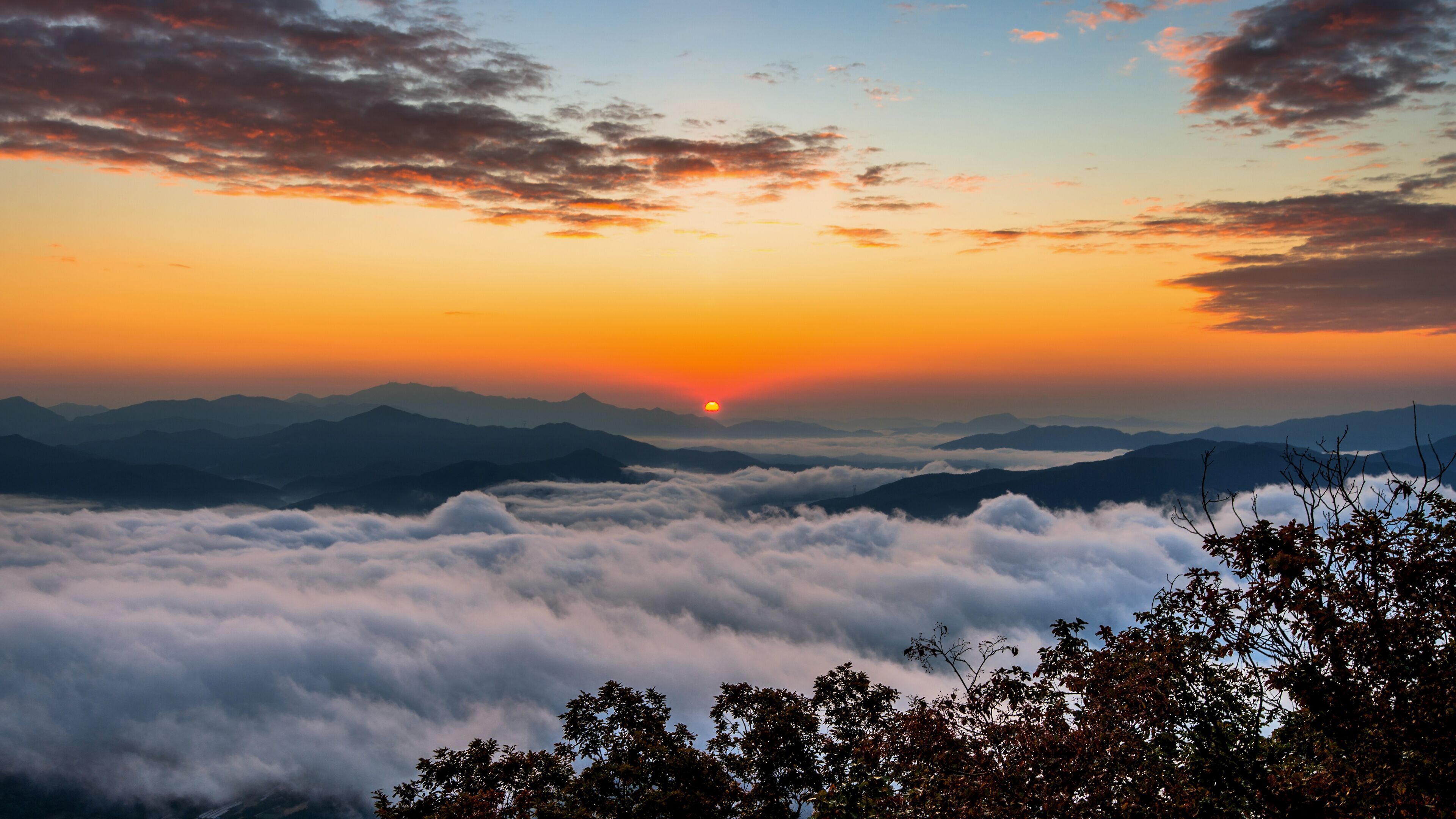 A sunrise over a mountain range with clouds below and trees in the foreground.