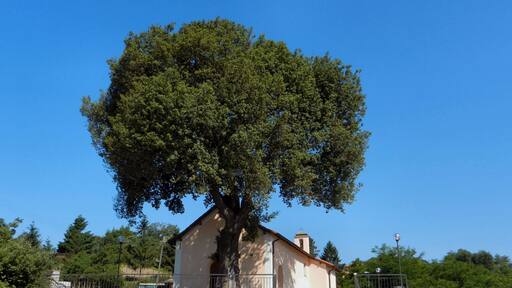 Ceranesi (province of Genoa, Italy), the chapel of N.S. dell'Orto