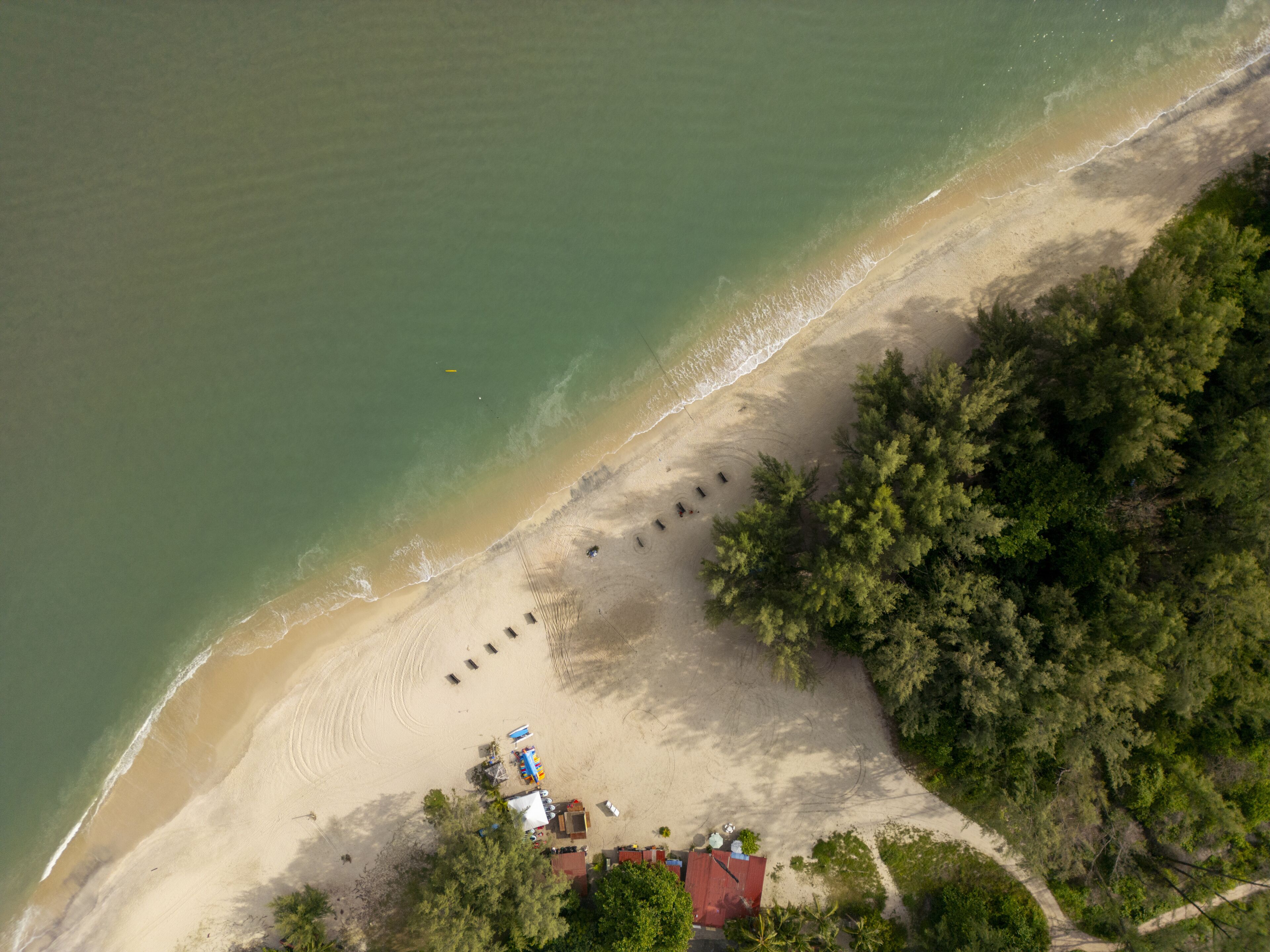 Aerial view of the sandy shore meeting the teal ocean, lush trees bordering the coast, and buildings nestled near the beach, Kuah, Kedah, Malaysia.