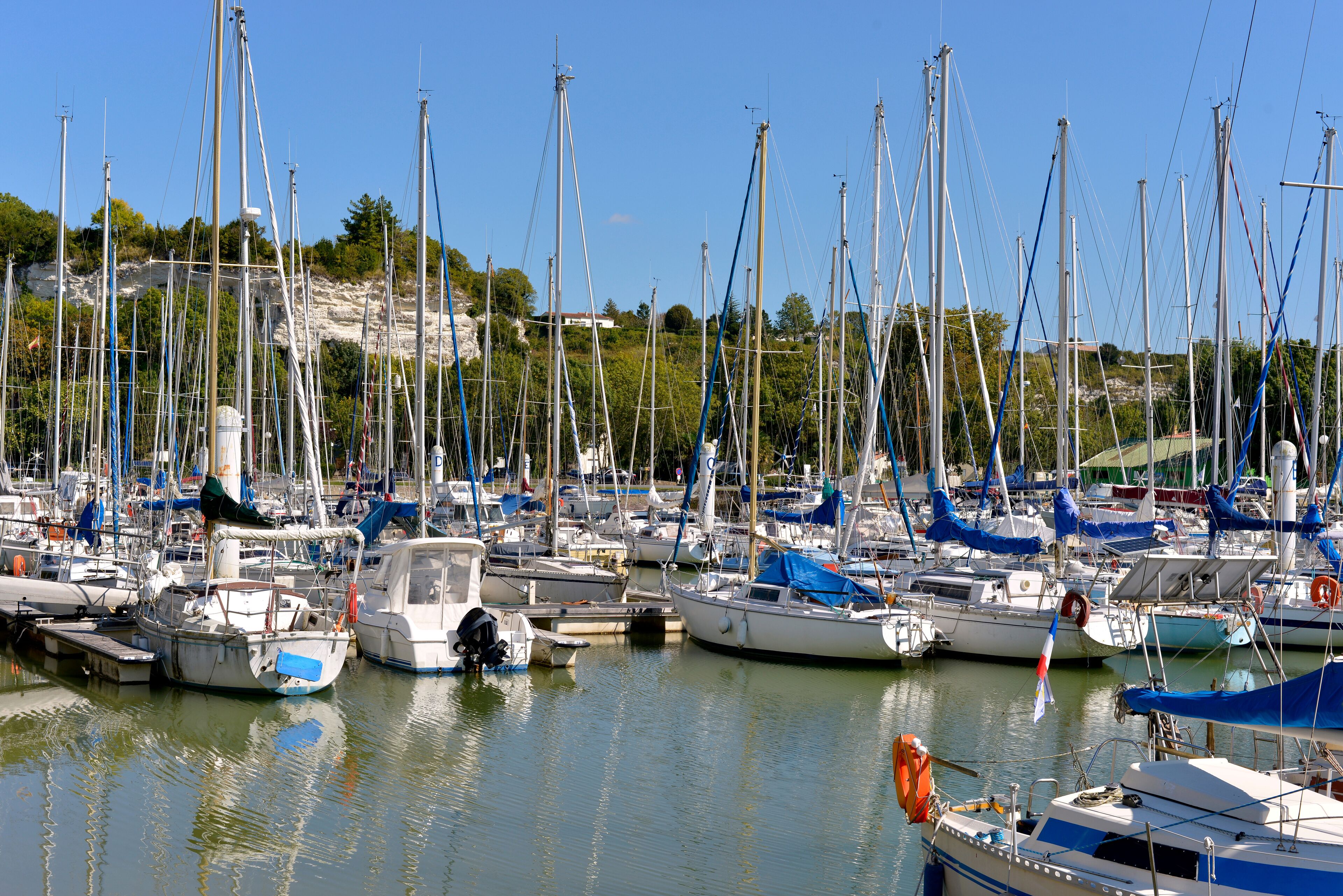 A marina with numerous sailboats docked in calm waters.