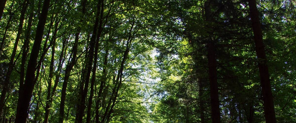 8.8.16 Nova Pec to Stozec