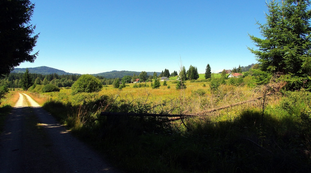 8.8.16 Nova Pec to Stozec