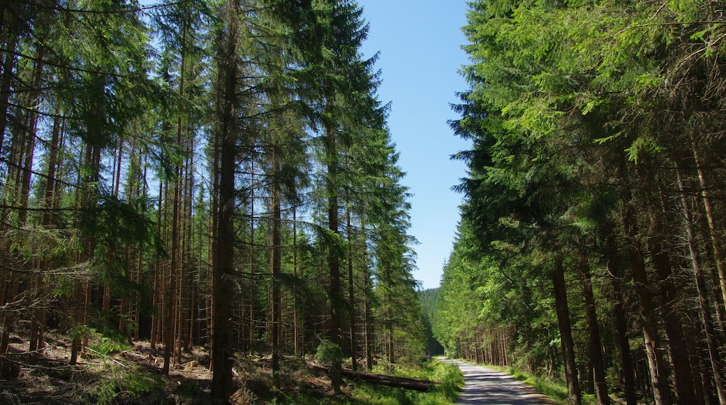 8.8.16 Nova Pec to Stozec