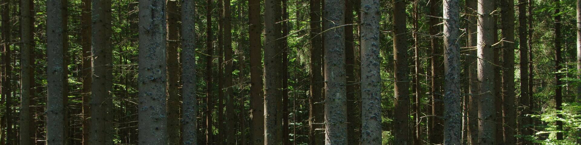 8.8.16 Nova Pec to Stozec