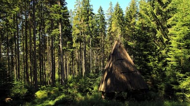 A forest with tall trees and a thatched-roof hut.
