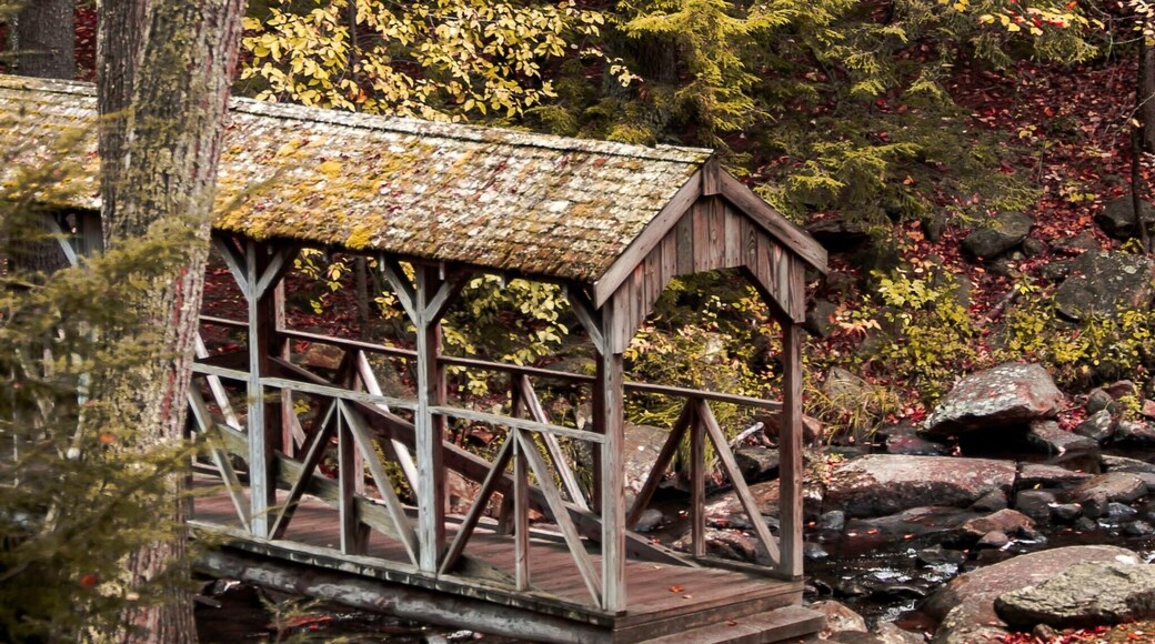 Fall in Willow Brook Park, Townsend MA.