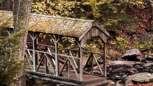 Fall in Willow Brook Park, Townsend MA.