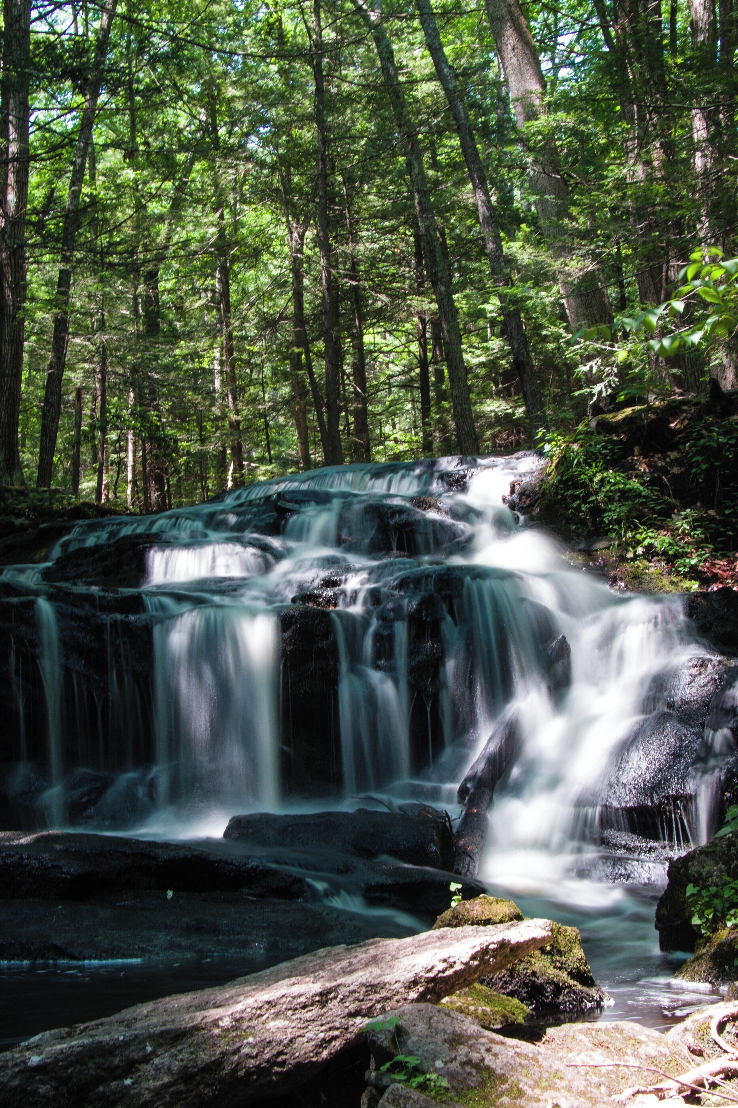 A waterfall in a forested area with dense trees and rocky terrain.