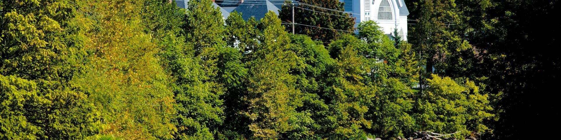 New Hampshire mostrando paesaggio forestale