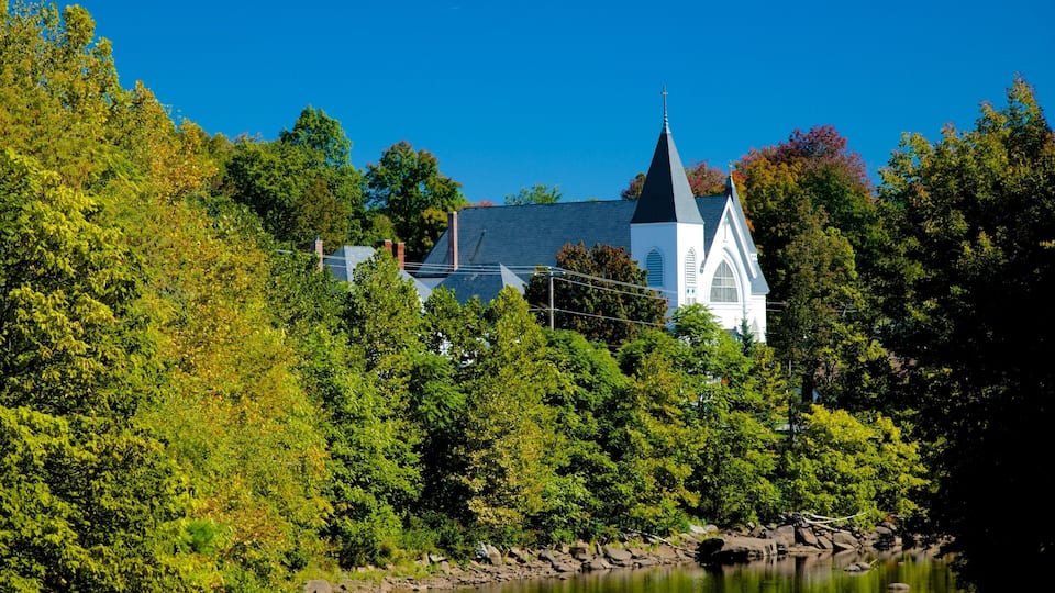 A white church with a steeple surrounded by dense green trees and a calm body of water.