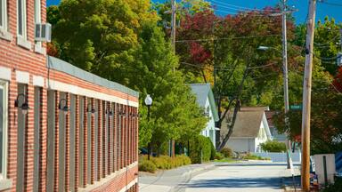 New Hampshire showing a small town or village