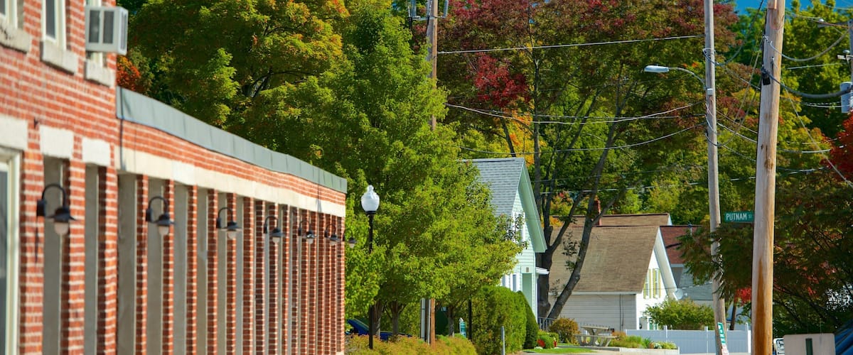 A street lined with brick buildings, trees with autumn foliage, and a clear blue sky.