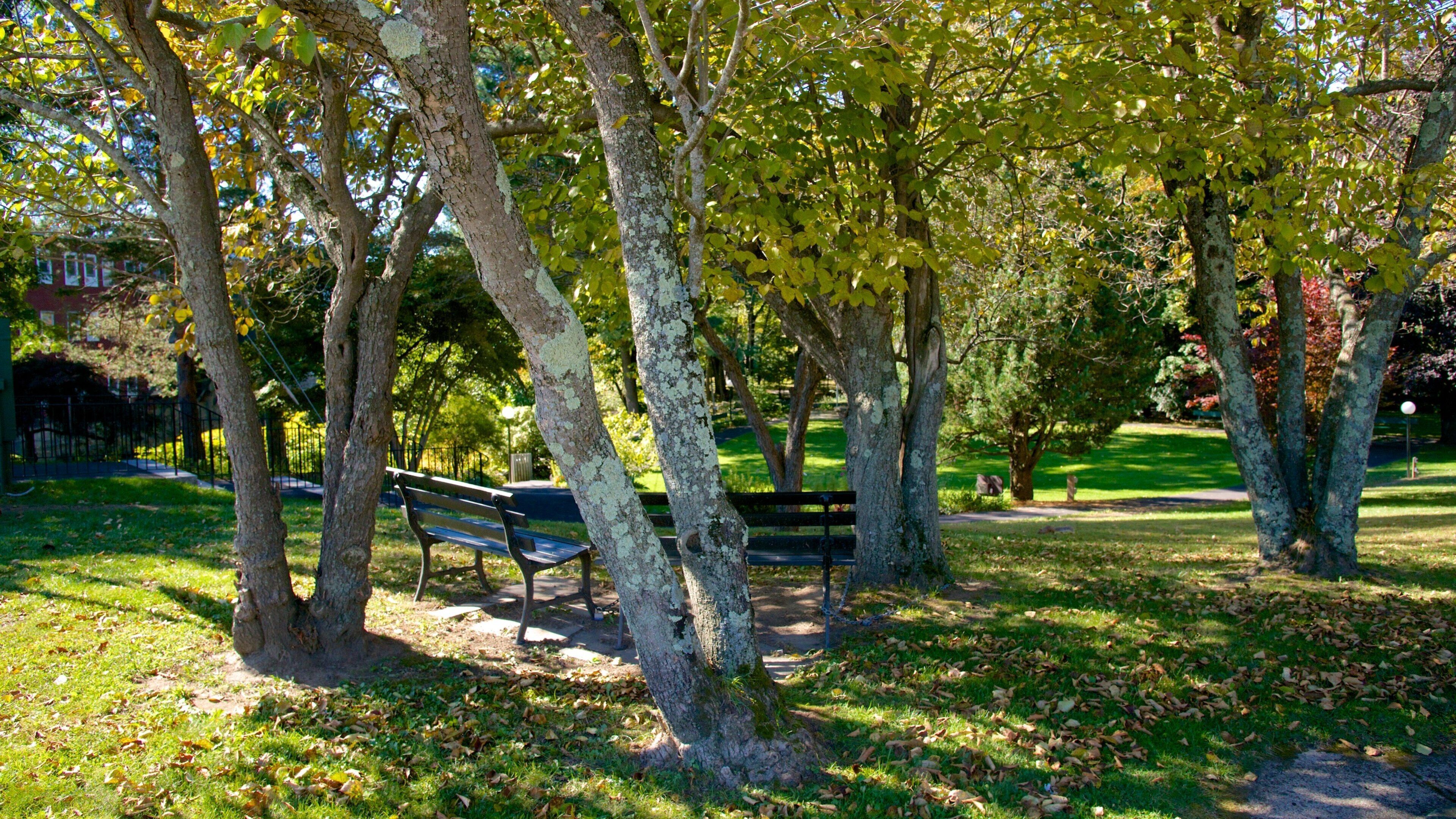 New Hampshire featuring a park