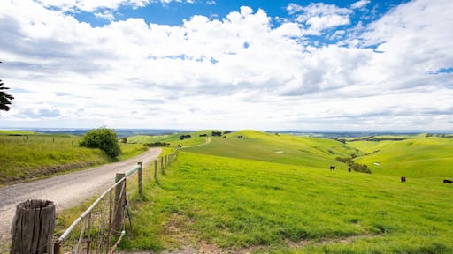 Strzelecki Ranges Landscape