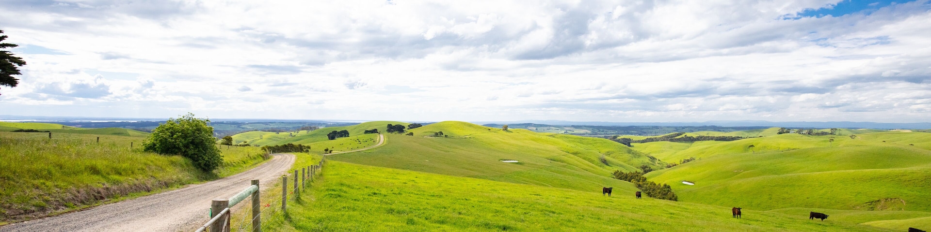 Strzelecki Ranges Landscape