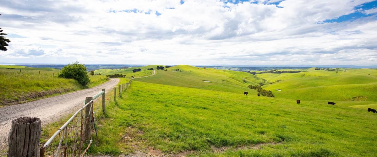 A rural landscape with rolling green hills, a dirt road, and a fence.