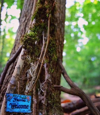 Little fairy dwellings are strewn throughout the South Mountain Fairy Trail (watch out for all the mosquitos though! Brutal!)