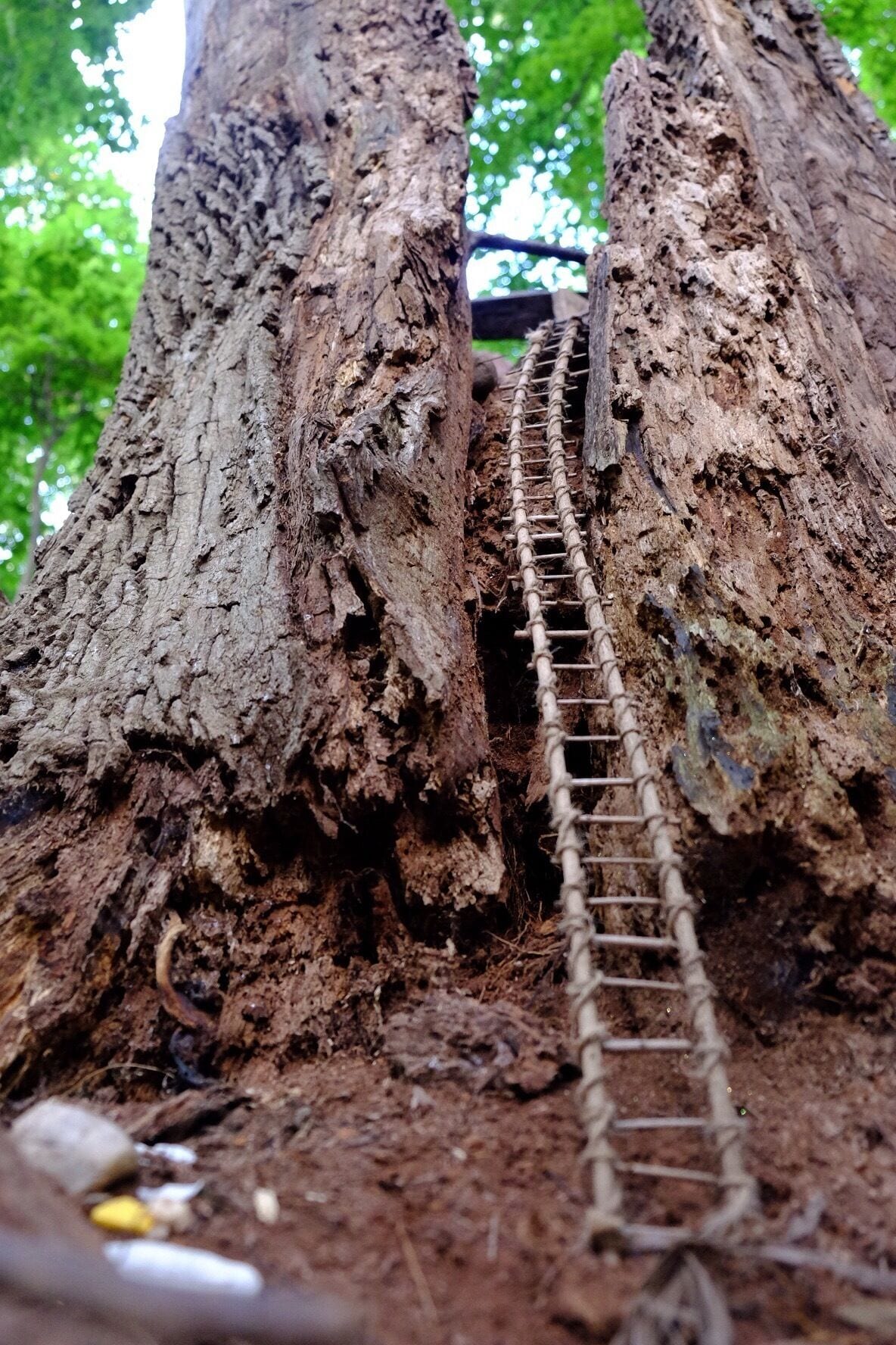 It's the fairy stairway to heaven!  Spotted in the south Mountain Fairy Trail. 