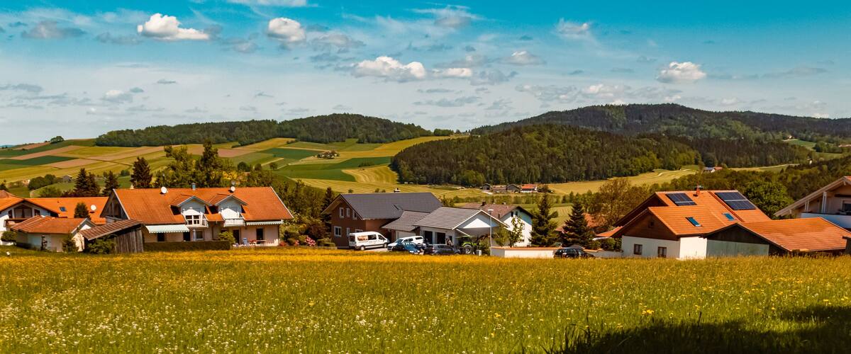 A rural village with houses, a field of flowers, and rolling hills in the background.
