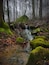 Un ruisseau de forêt, avec des rochers couverts de mousse et une cascade.