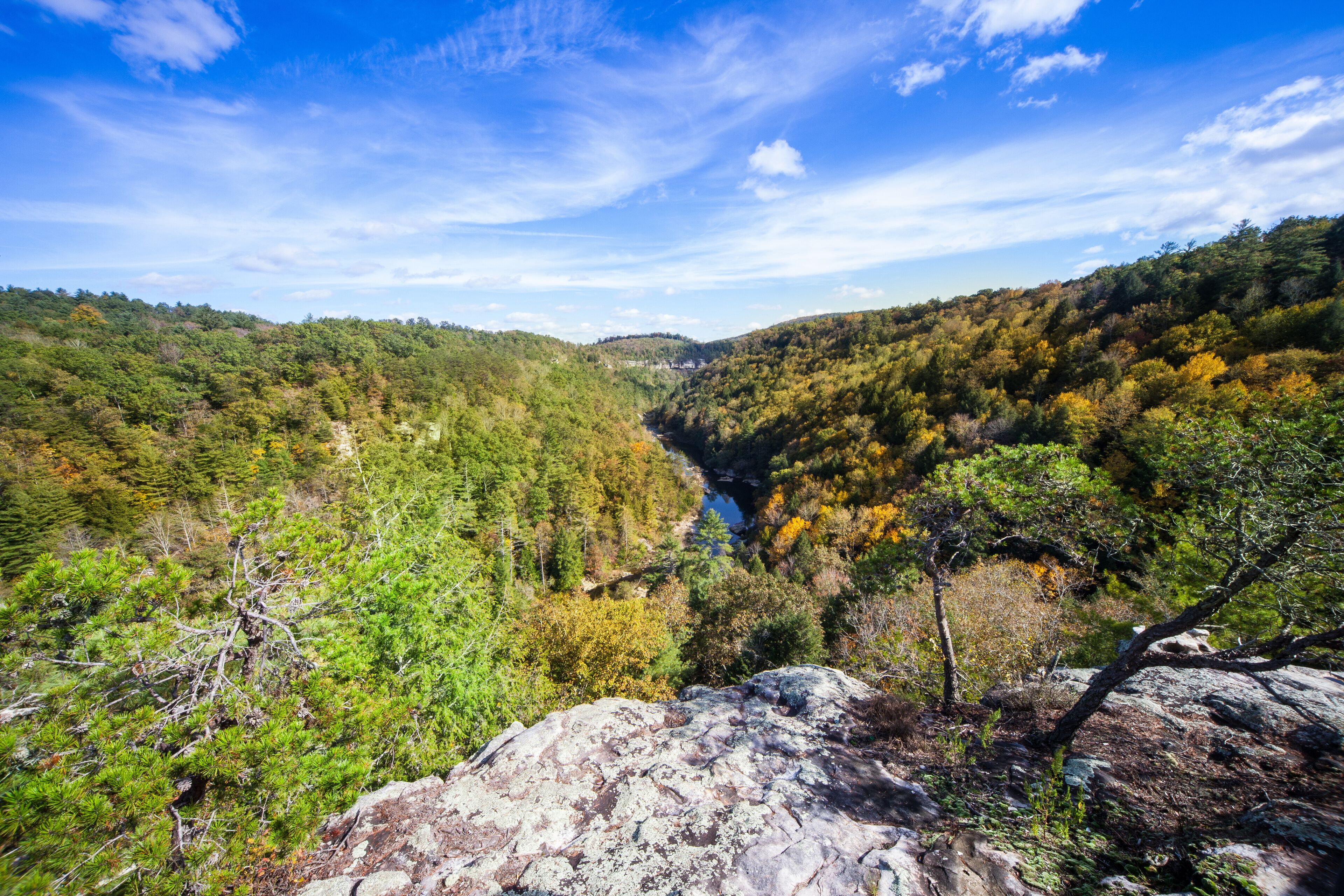 Lilly Bluff Overlook at Obed Wild and Scenic River