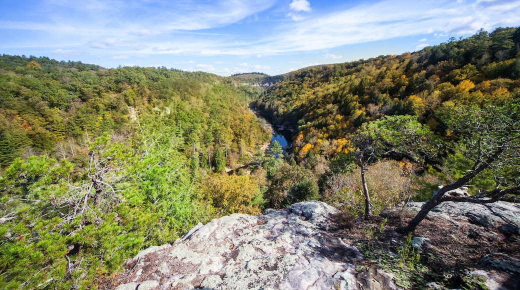 Lilly Bluff Overlook at Obed Wild and Scenic River