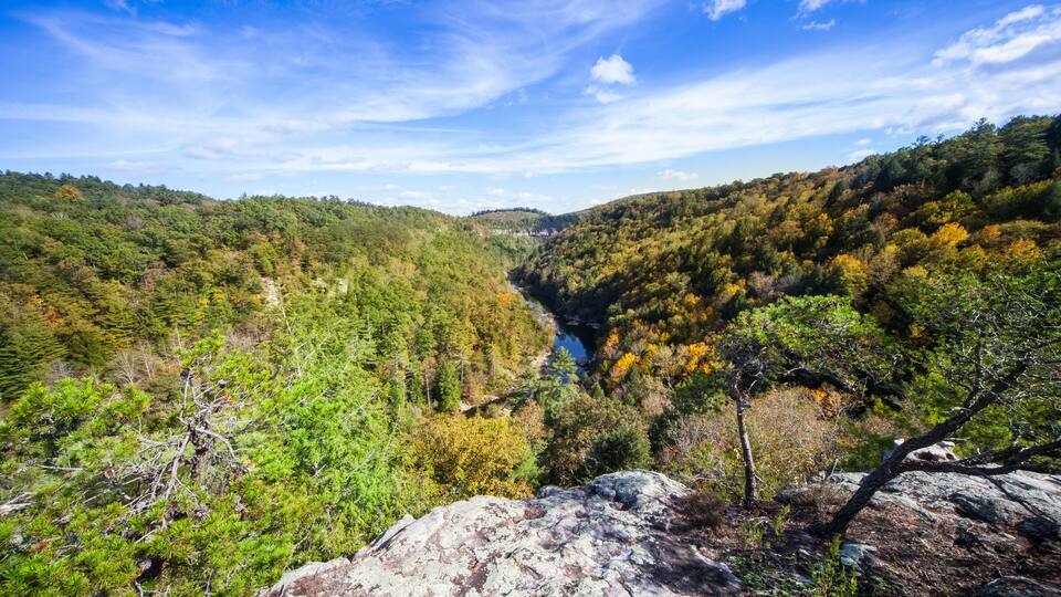 A valley with a river, surrounded by autumn-colored trees and rocky terrain.