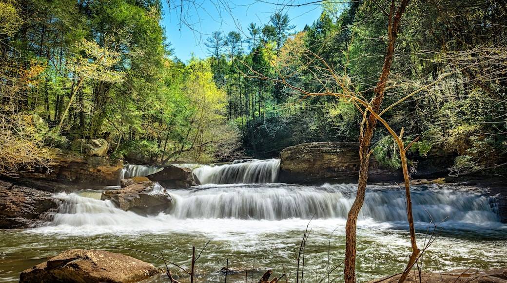 Potters Falls in Tennessee