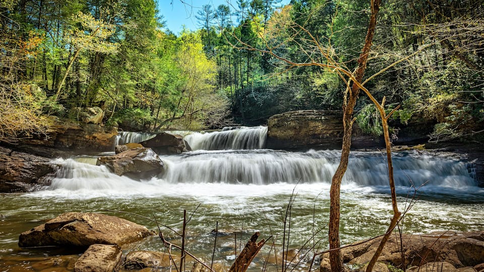A waterfall in a forest with rocks and trees.