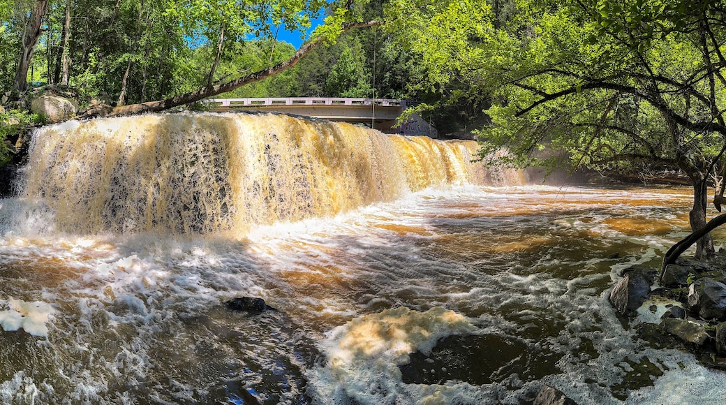 Dirty Waterfall in tennessee