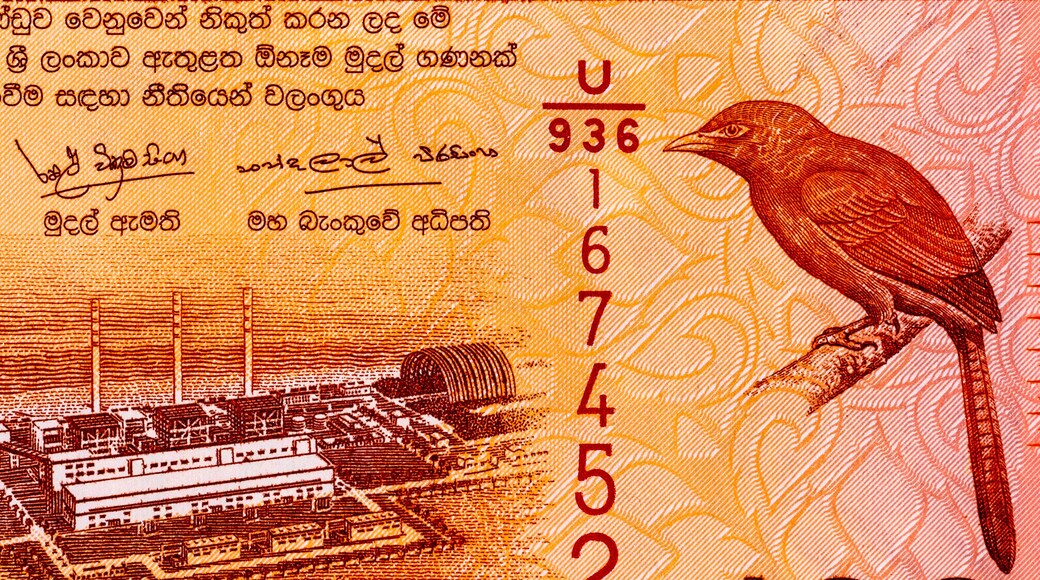 100 rupee banknote Sri Lanka with the image of Norochcholai Coal Power Plant. money of Sri Lanka