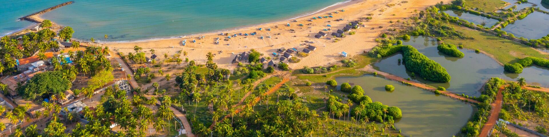 A coastal landscape with a sandy beach, palm trees, and a clear blue sea.