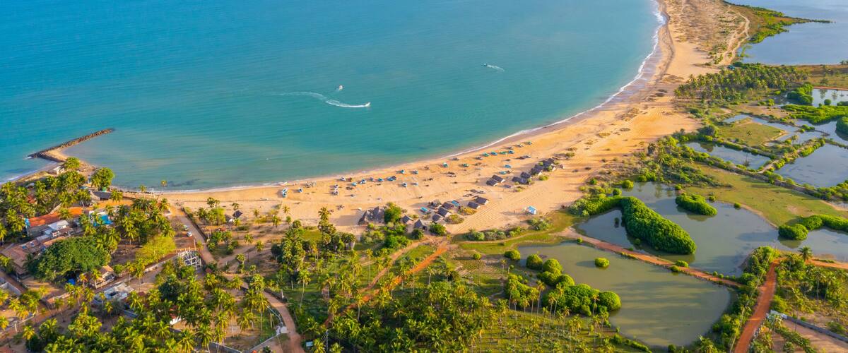 A coastal landscape with a sandy beach, palm trees, and a clear blue sea.