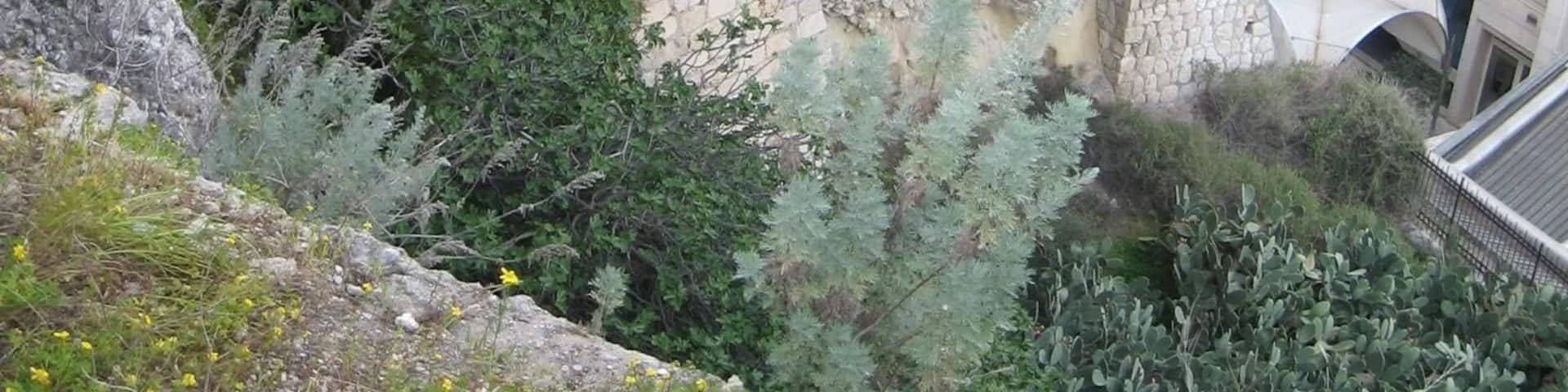 Ś ŚŚŁ ŚŚąŚŚš Ś§ŚŚŚŚŚšŚ