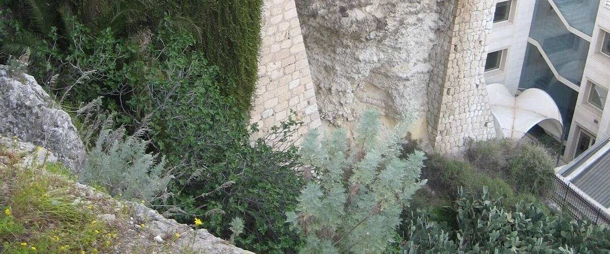 A rocky cliff with greenery, a road, and buildings in the background.