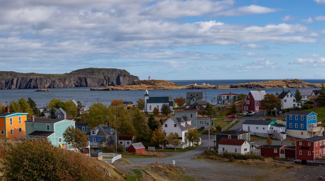 Aerial panoramic view of a small town on the Atlantic Ocean Coast during a sunny day. Taken in Trinity, Newfoundland and Labrador, Canada.