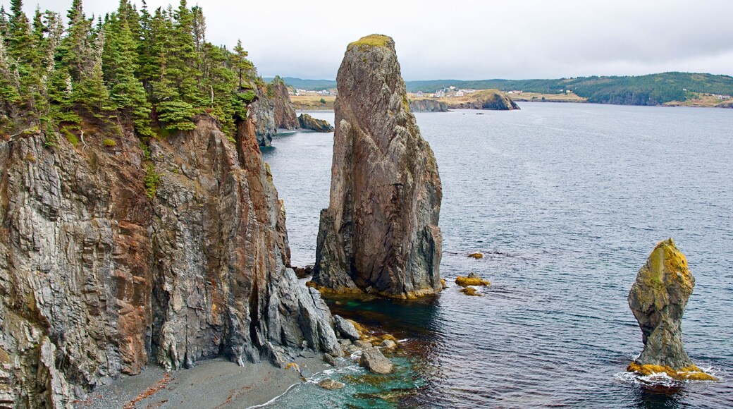 Skerwink Trail Cliffs and Pebble Beach Newfoundland Bonavista Peninsula Trinity