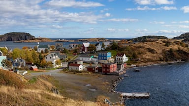 Aerial panoramic view of a small town on the Atlantic Ocean Coast during a sunny day. Taken in Trinity, Newfoundland and Labrador, Canada.