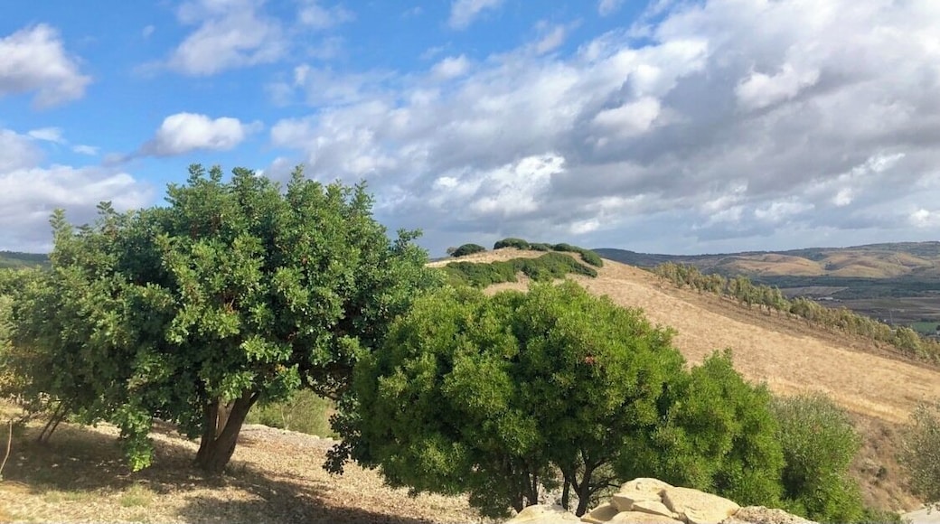 A view from this beautiful and delicious place!