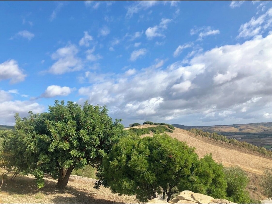 A view from this beautiful and delicious place!