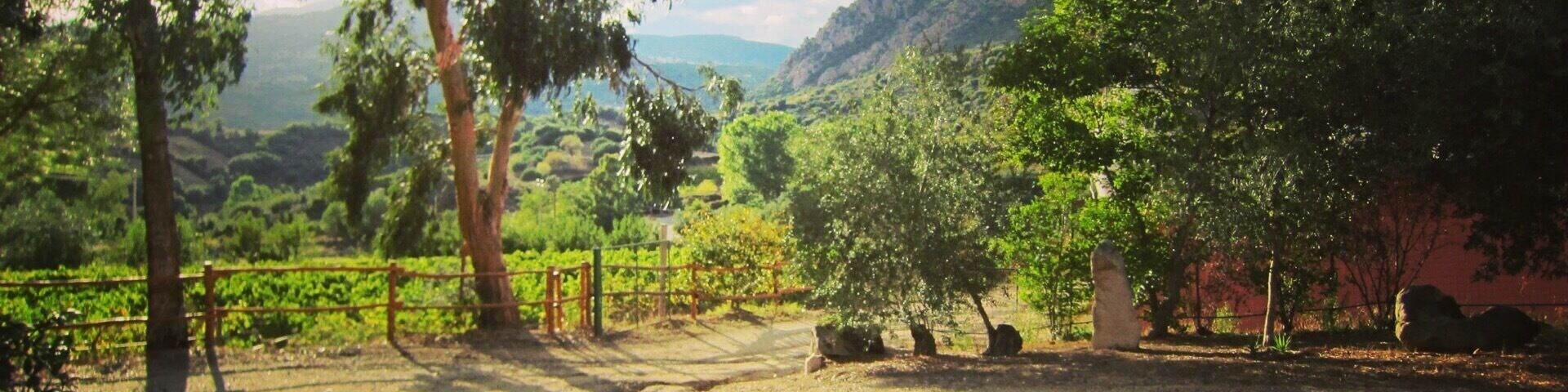 Great food and wine.