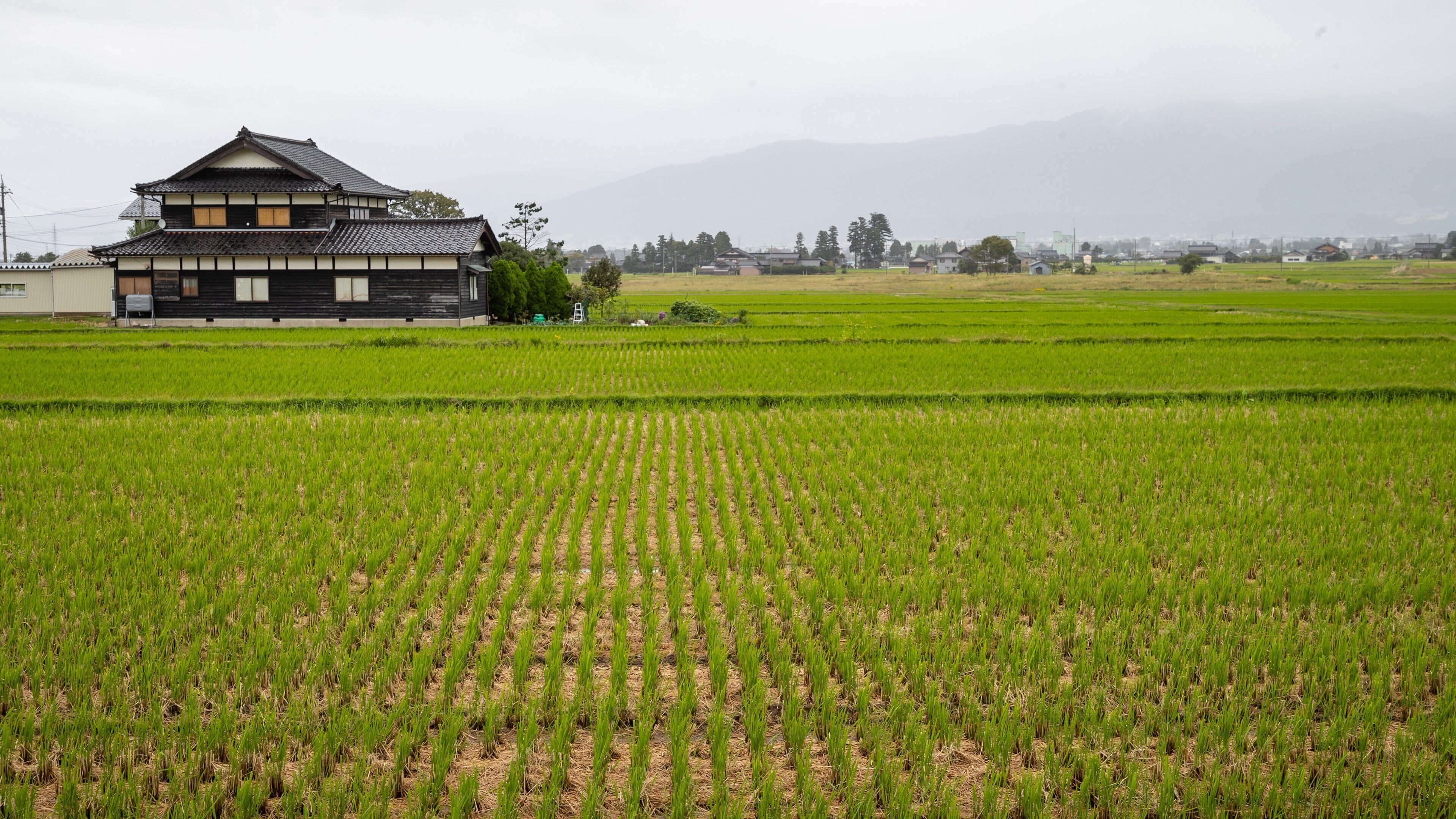 Nanto which includes landscape views and farmland