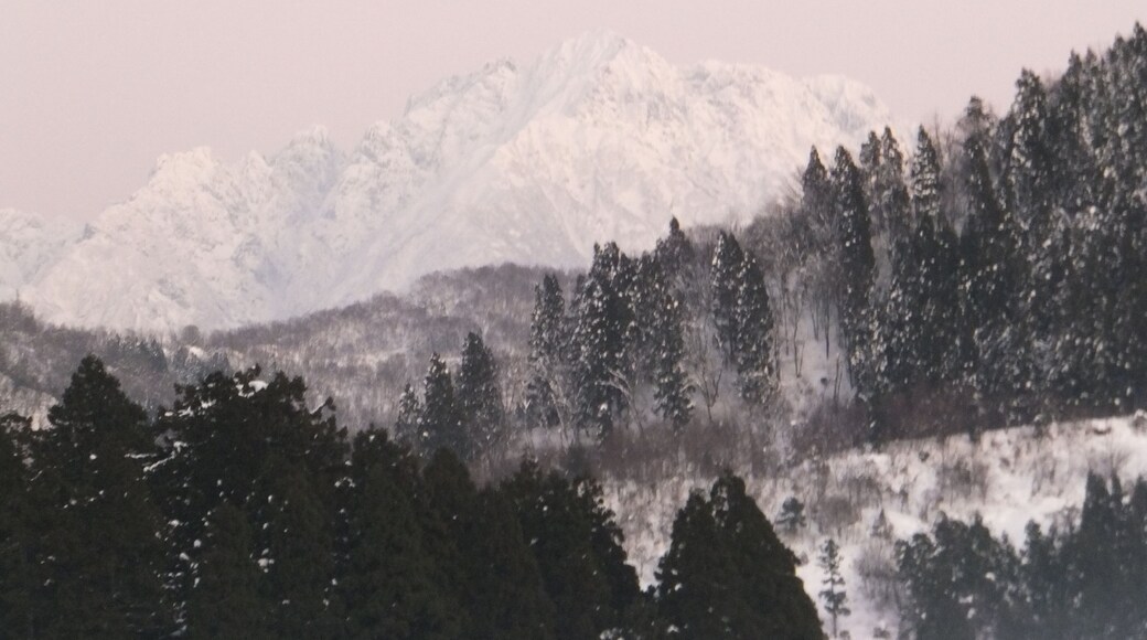 Nishitane, Kamiichi, Nakaniikawa District, Toyama Prefecture 930-0444, Japan