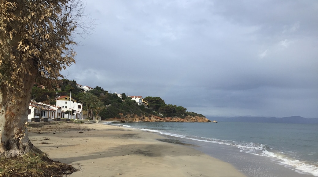 An island Sant’Antioco where already beauty reigns Sardegna will always be full of beautiful nature to discover and am discovering it.