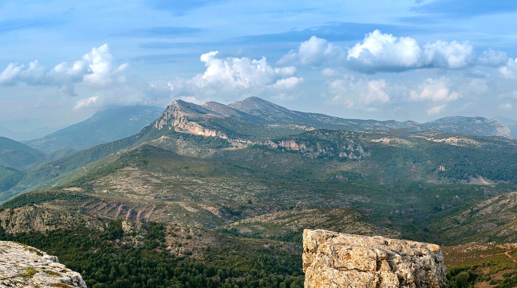 ์ค๋ฅด๊ณ ์๋ก