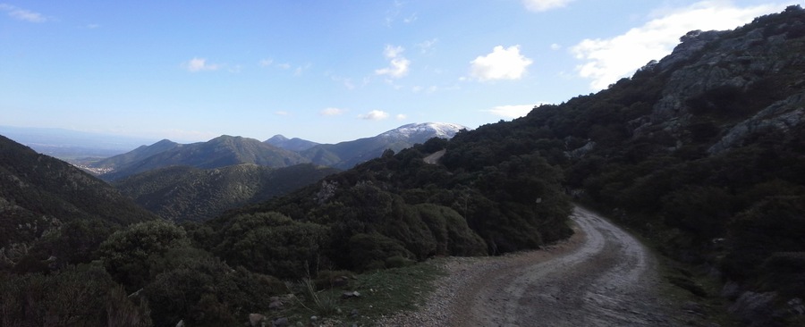 salendo al Monte Linas