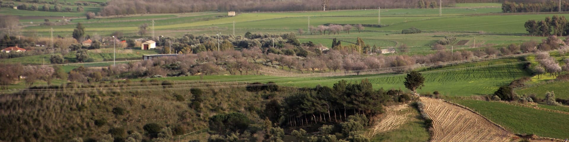 Pauli Arbarei - Panorama