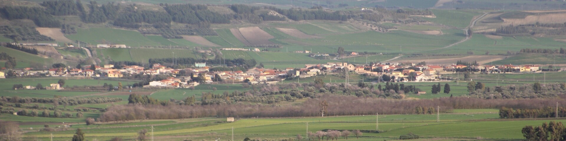 Pauli Arbarei - Panorama